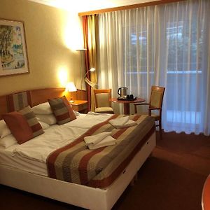 Double Room Ground Floor Forest View